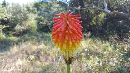  Bluff Nature Reserve