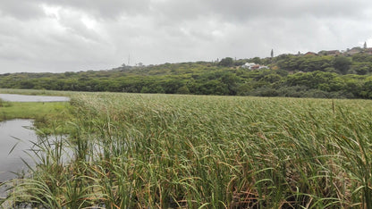  Bluff Nature Reserve