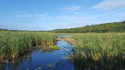  Bluff Nature Reserve