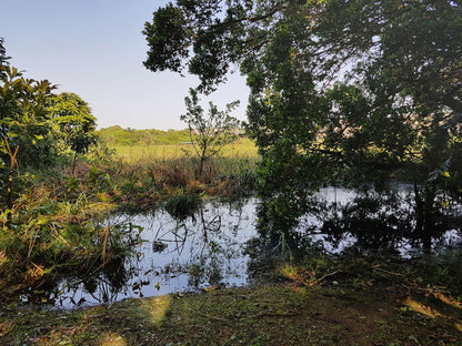  Bluff Nature Reserve