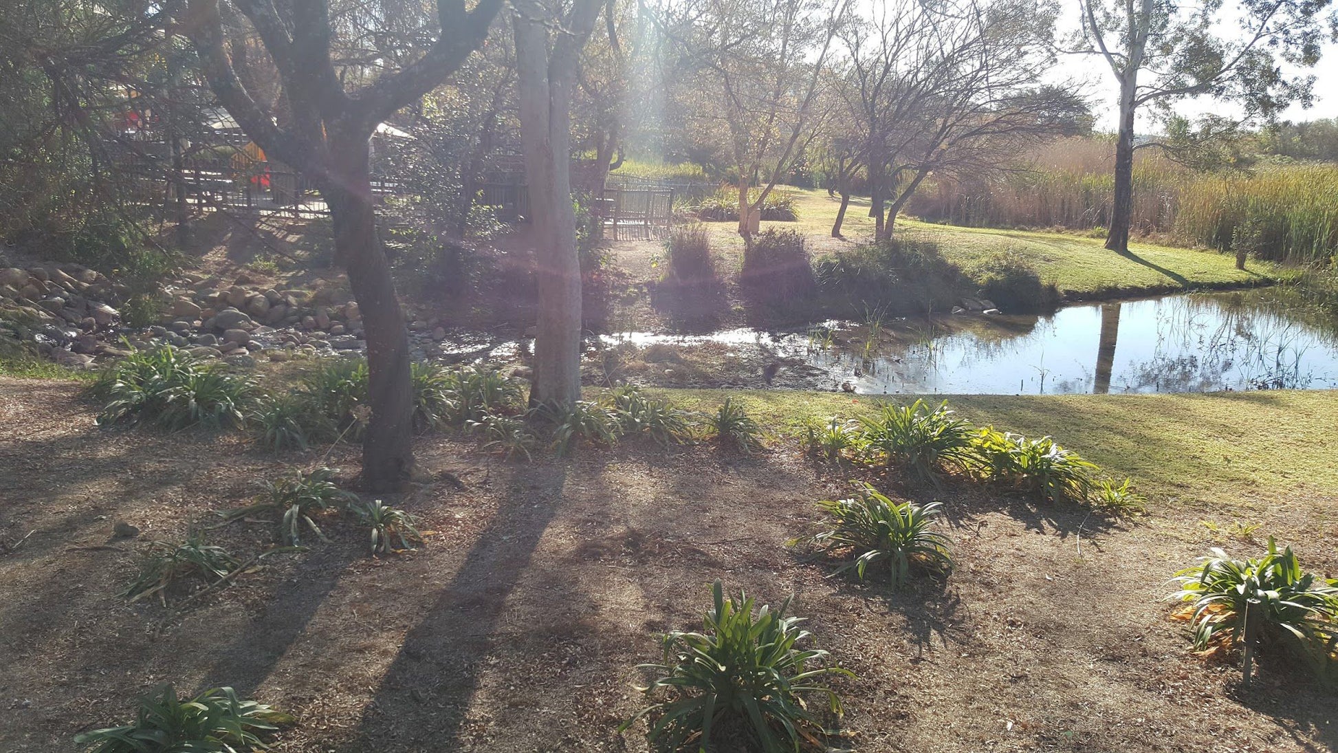  Boardwalk Bird Sanctuary