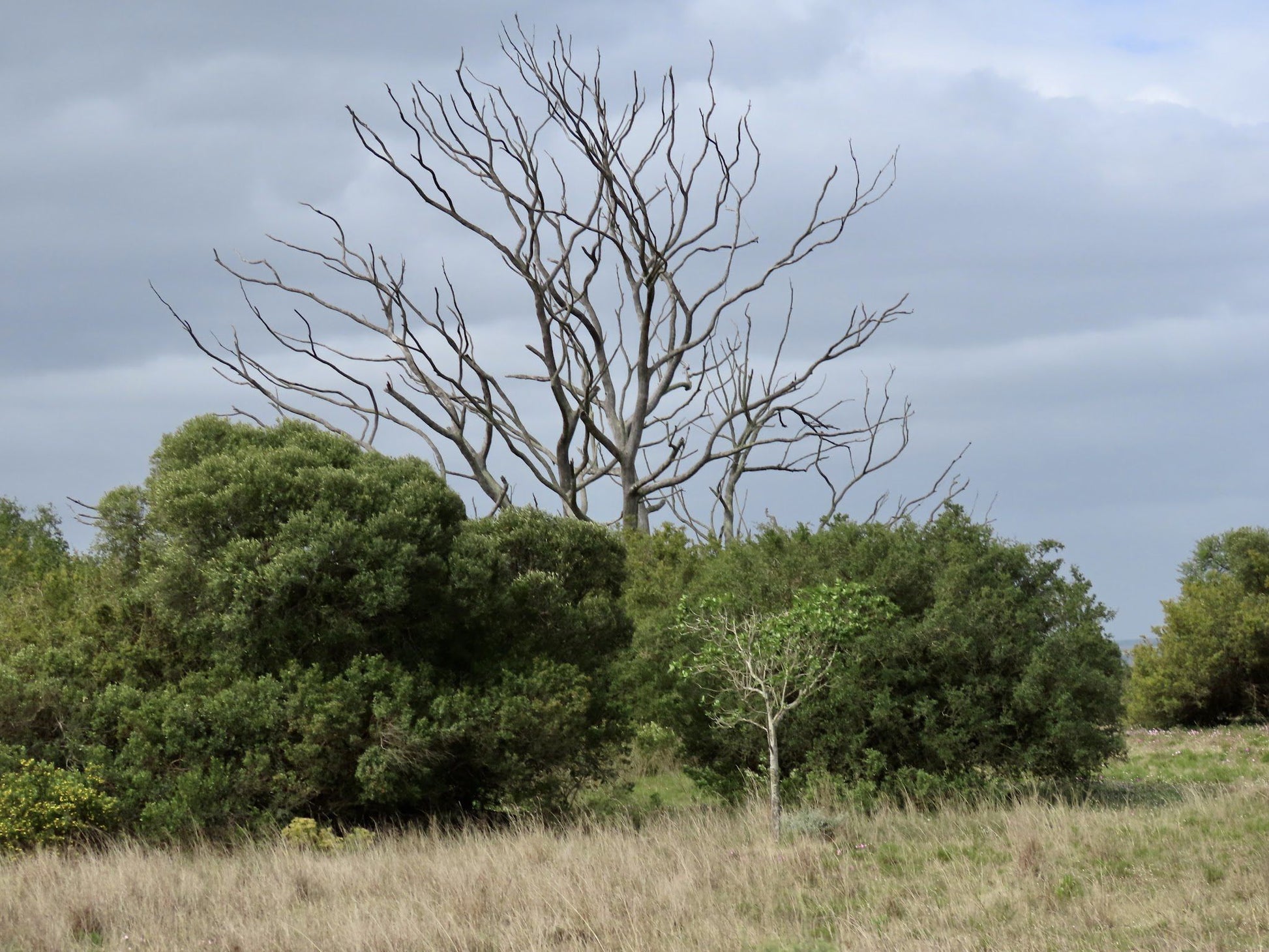  Bontebok National Park