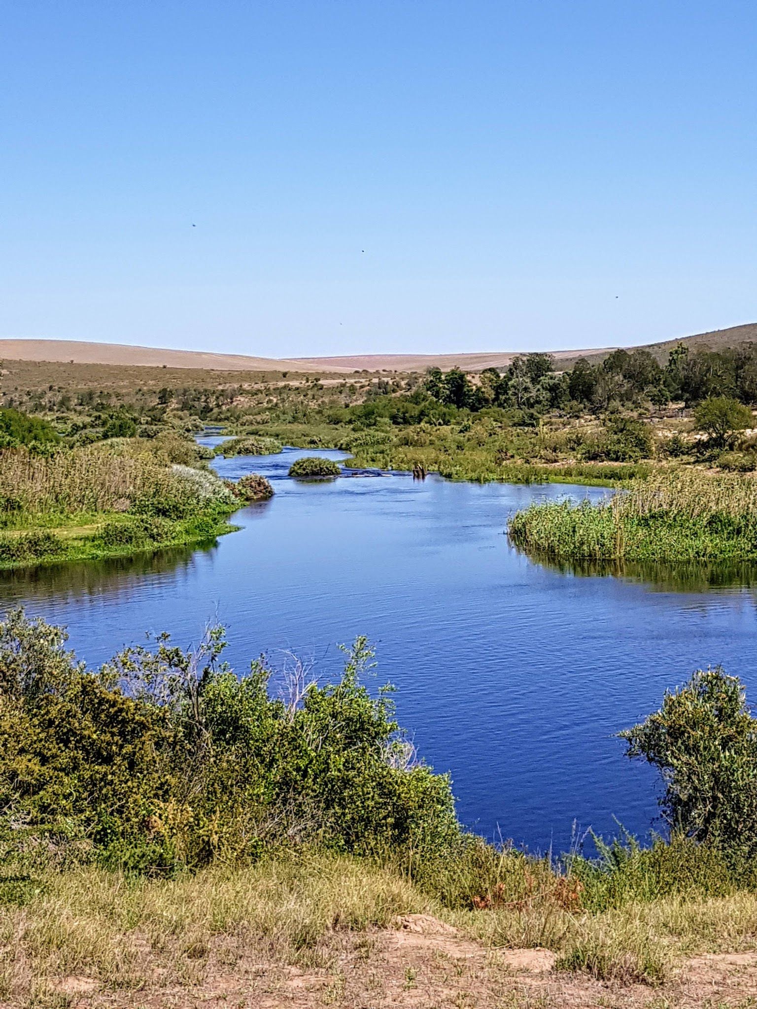  Bontebok National Park