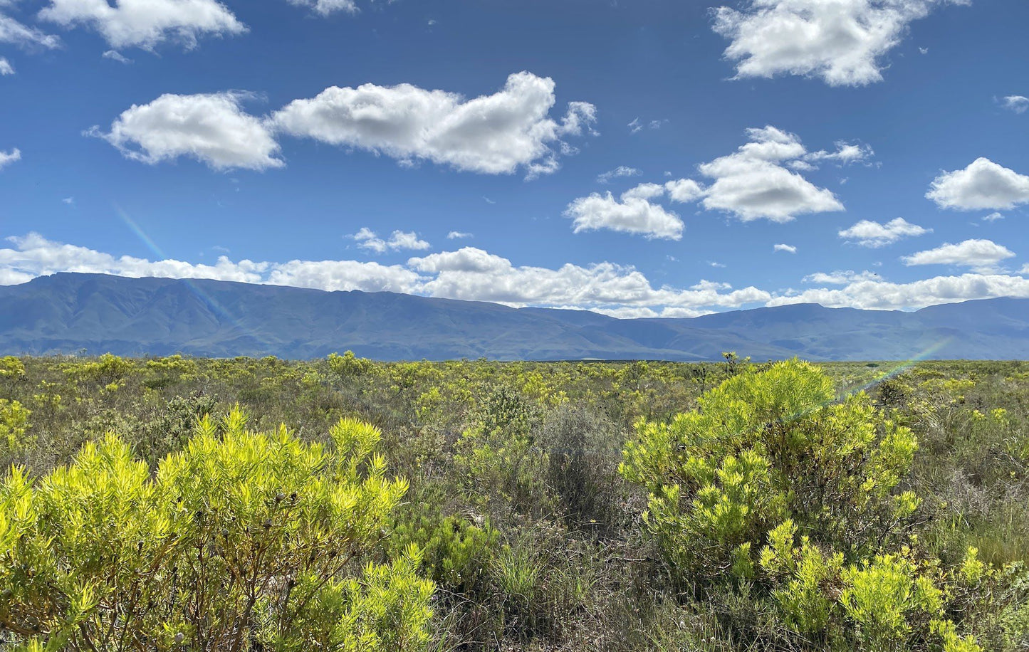  Bontebok National Park