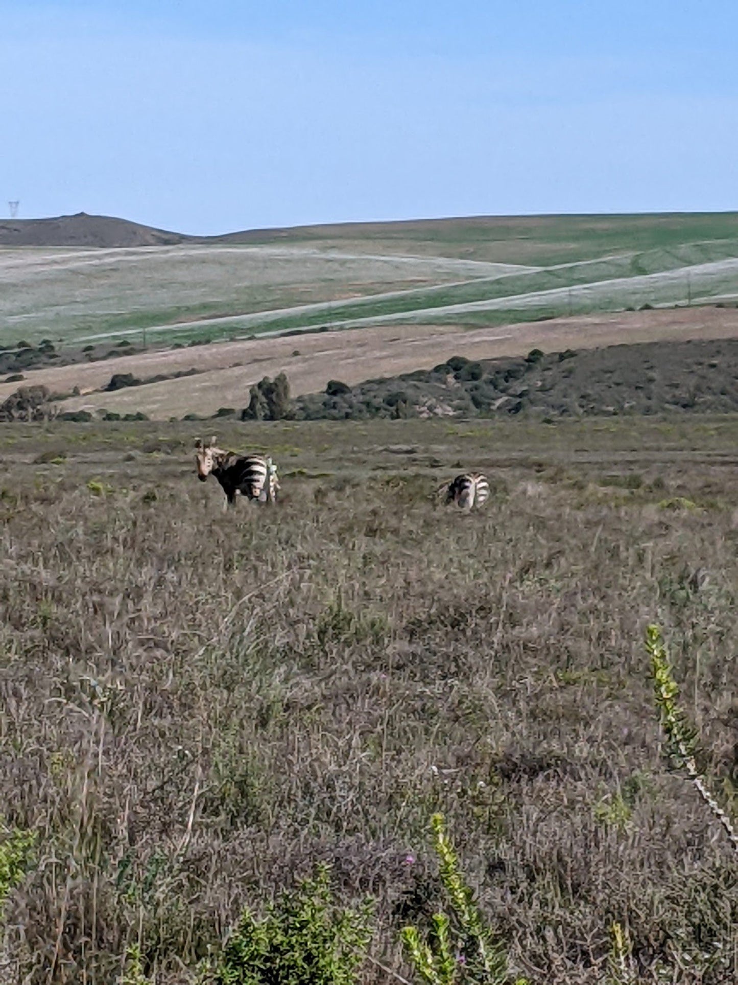  Bontebok National Park