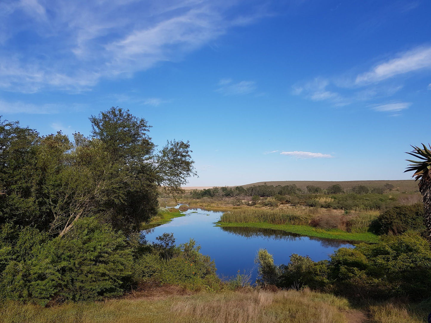  Bontebok National Park