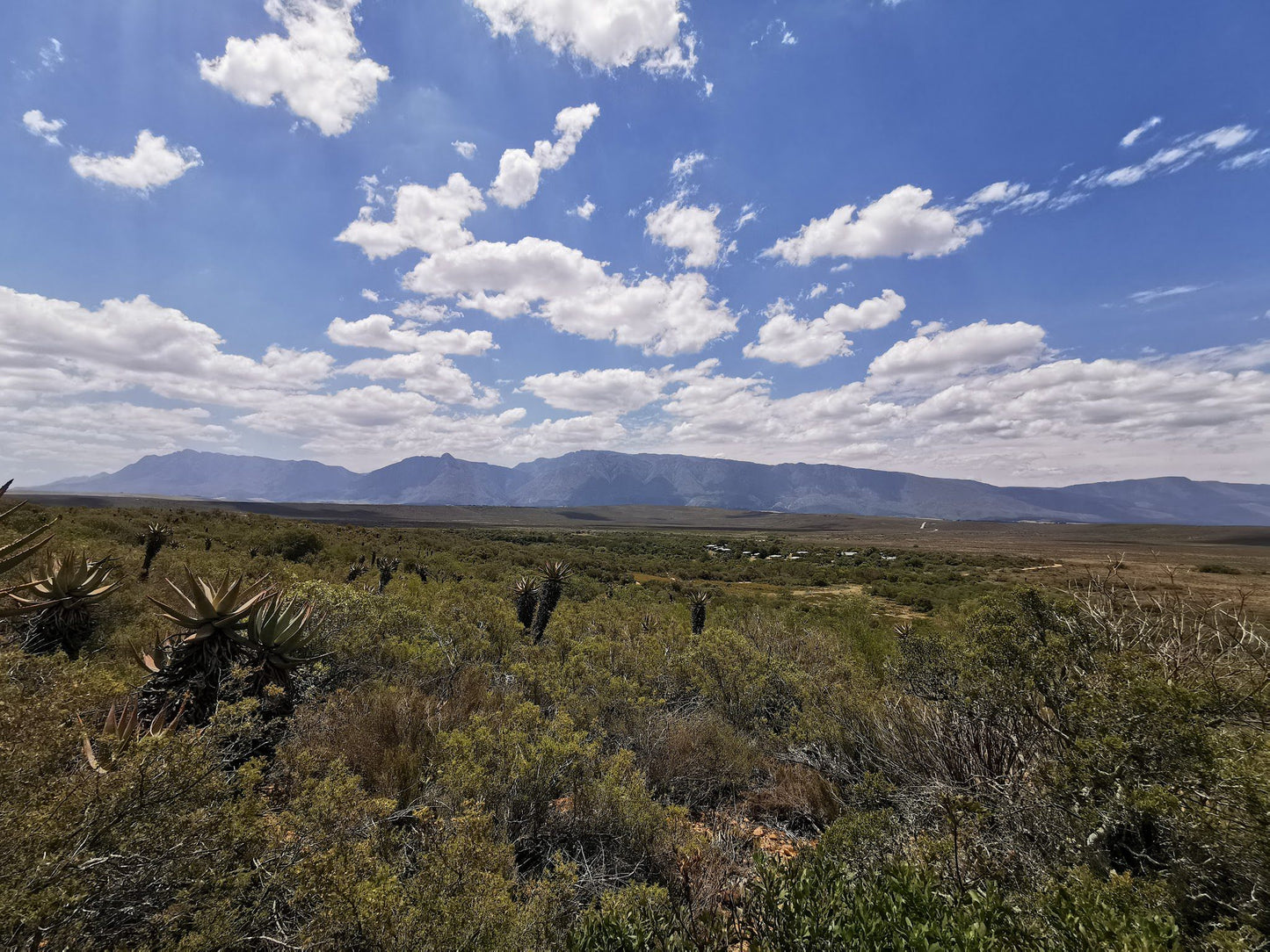  Bontebok National Park