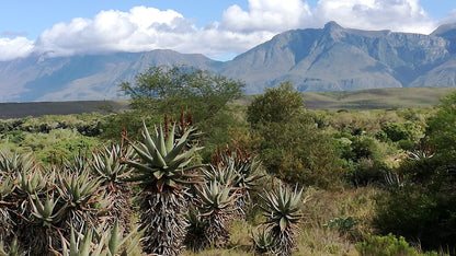  Bontebok National Park