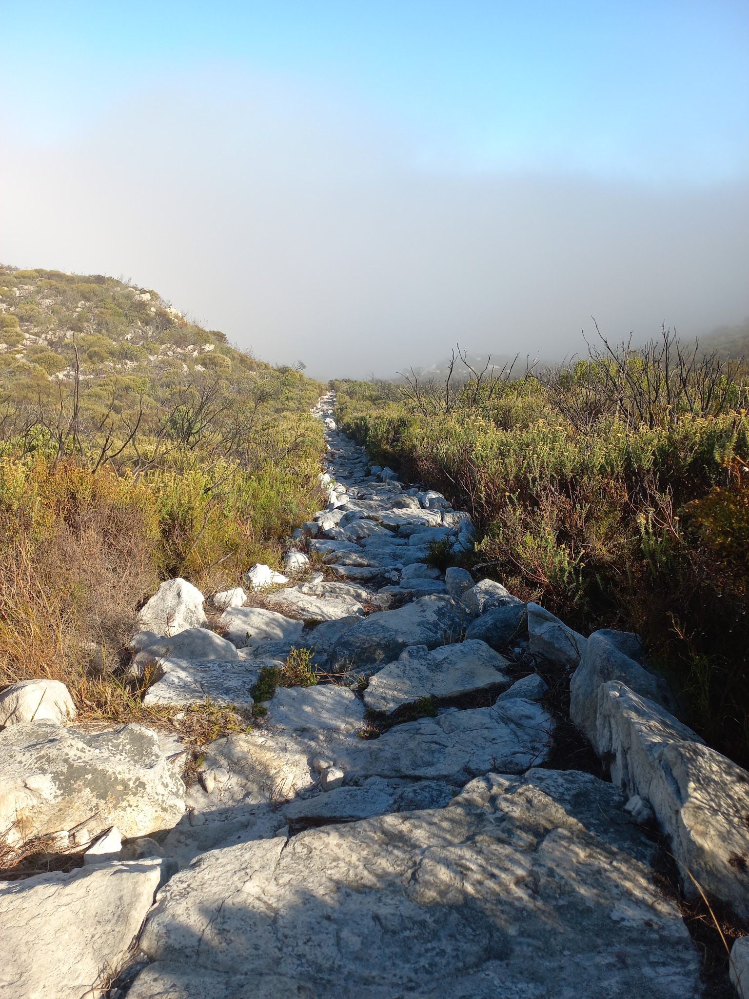  Boomslang Cave Entrance