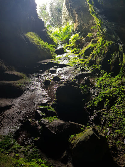  Boomslang Cave Entrance