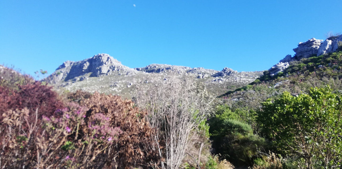  Boomslang Cave Entrance