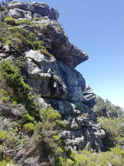  Boomslang Cave Entrance