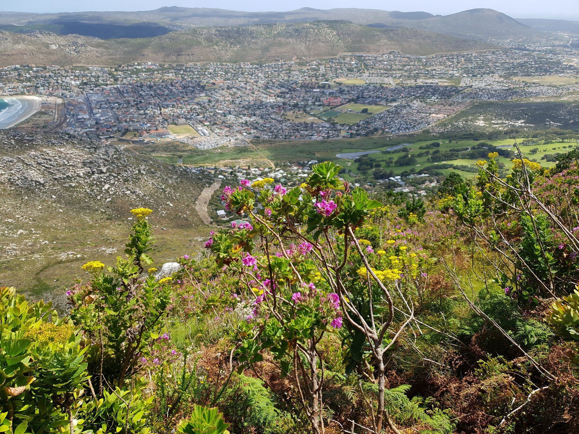  Boomslang Cave Entrance