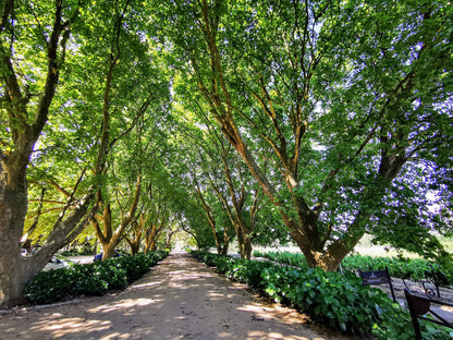  Boschendal Accommodation