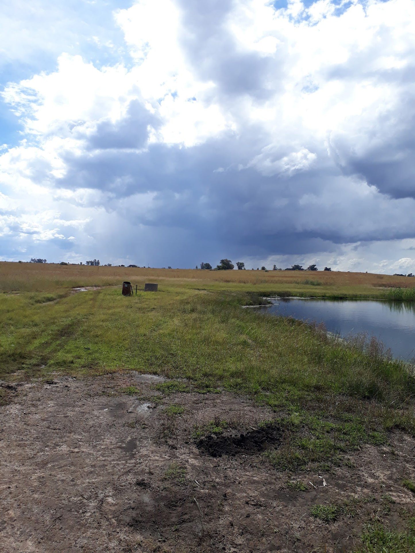  Boskop Dam Nature Reserve