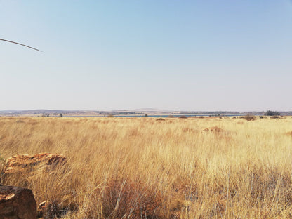  Boskop Dam Nature Reserve