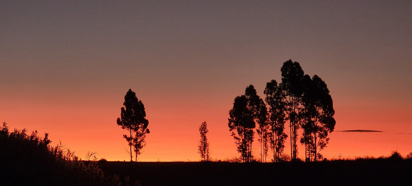  Boskop Dam Nature Reserve