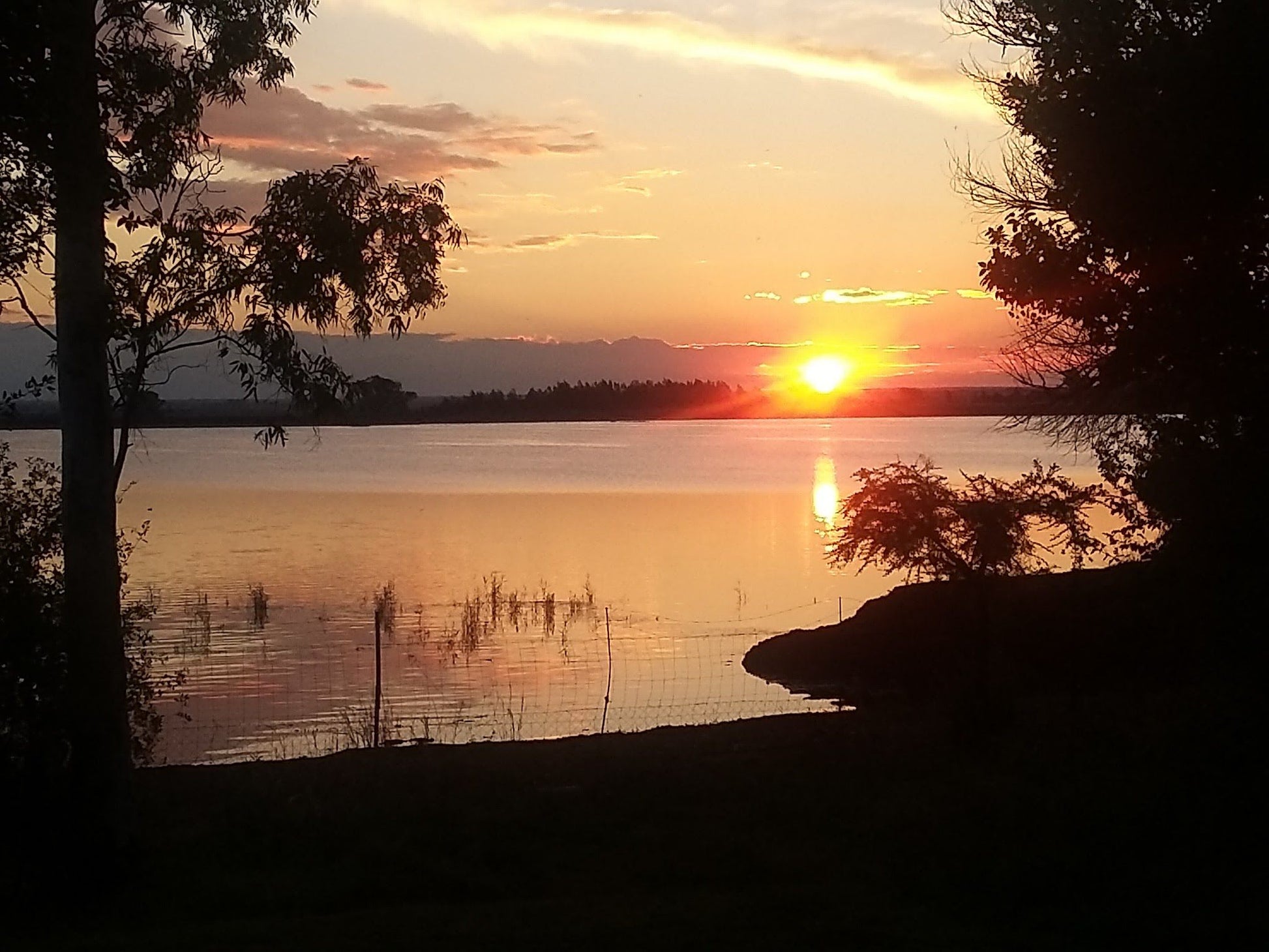  Boskop Dam Nature Reserve