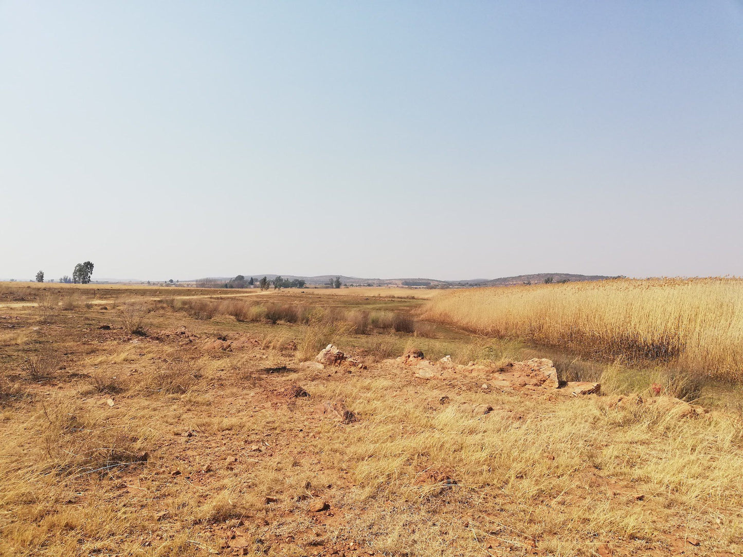  Boskop Dam Nature Reserve