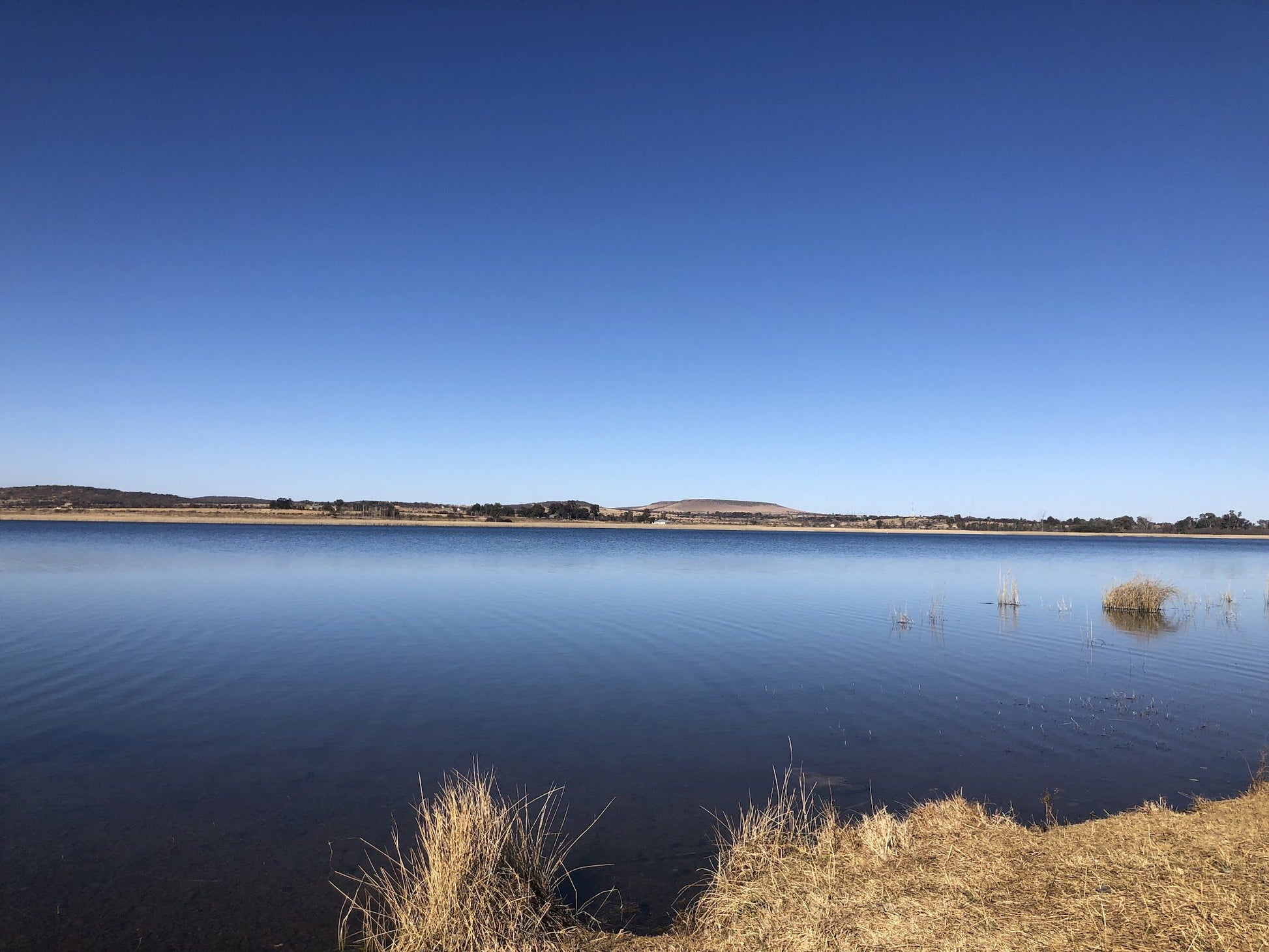  Boskop Dam Nature Reserve