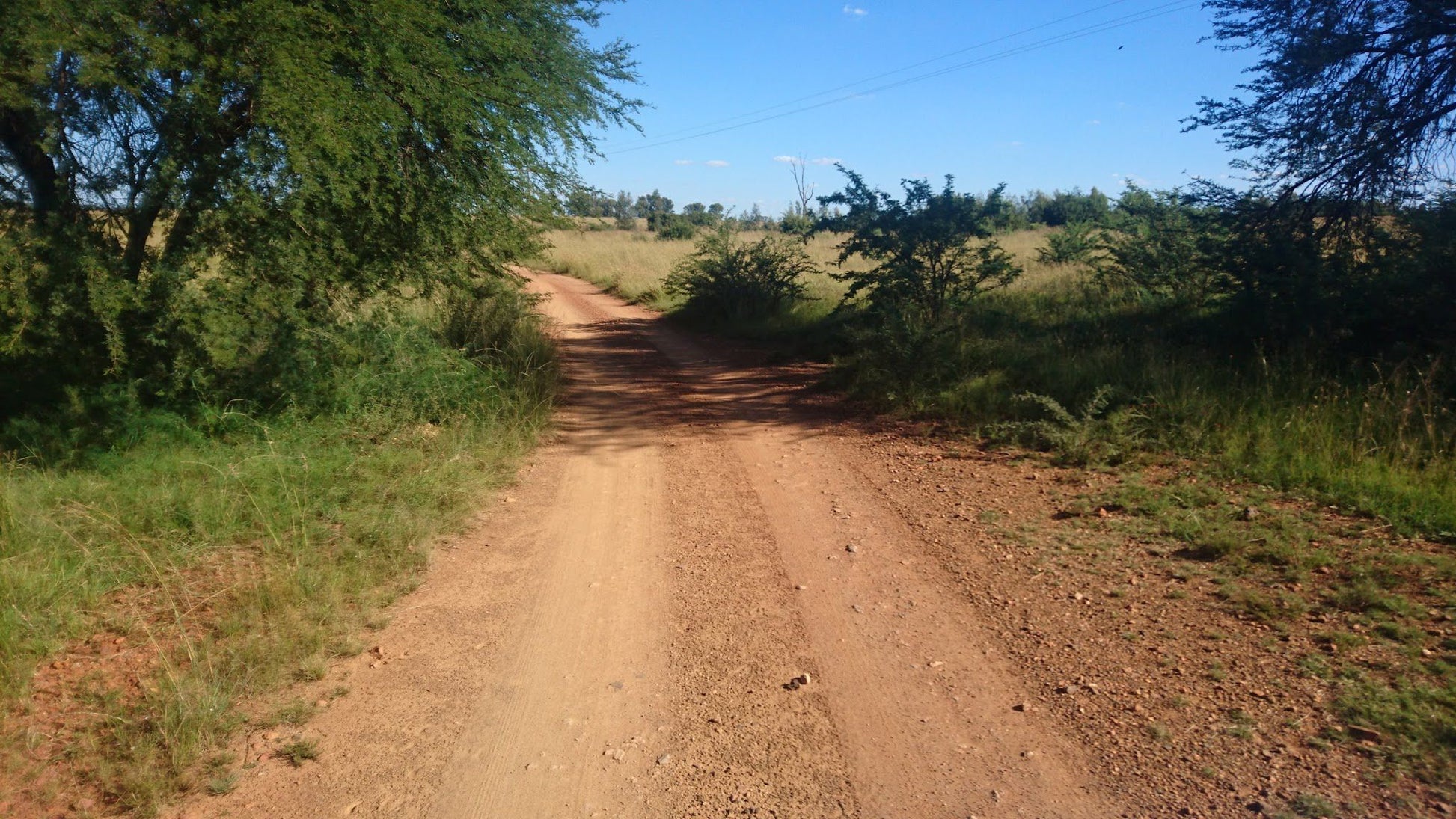  Boskop Dam Nature Reserve