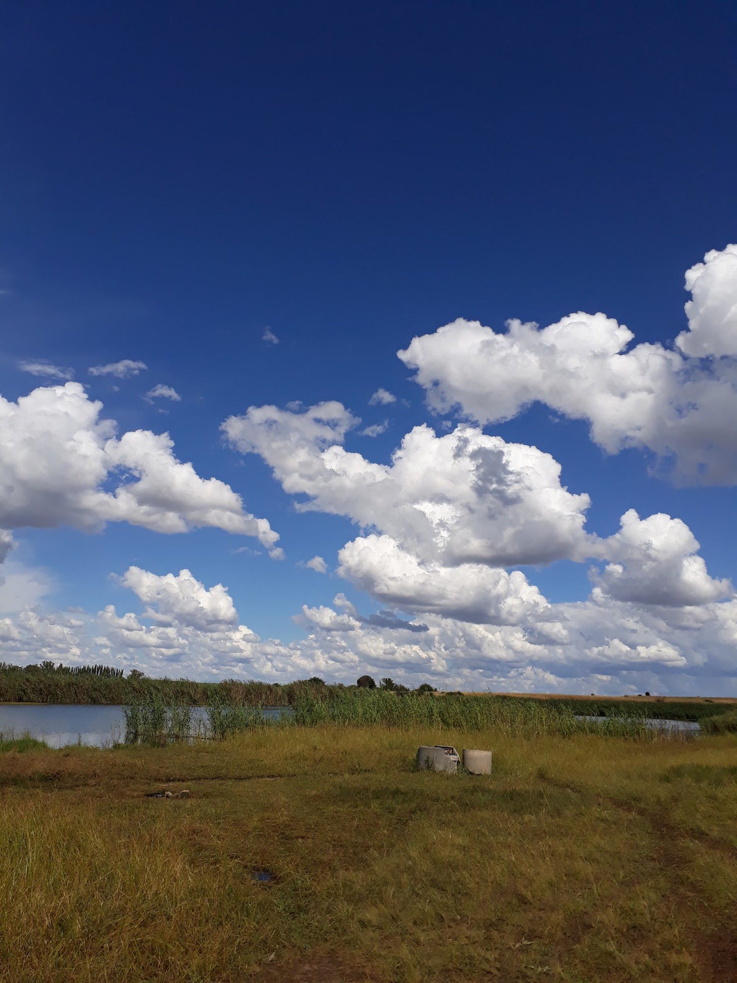  Boskop Dam Nature Reserve