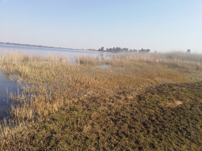  Boskop Dam Nature Reserve