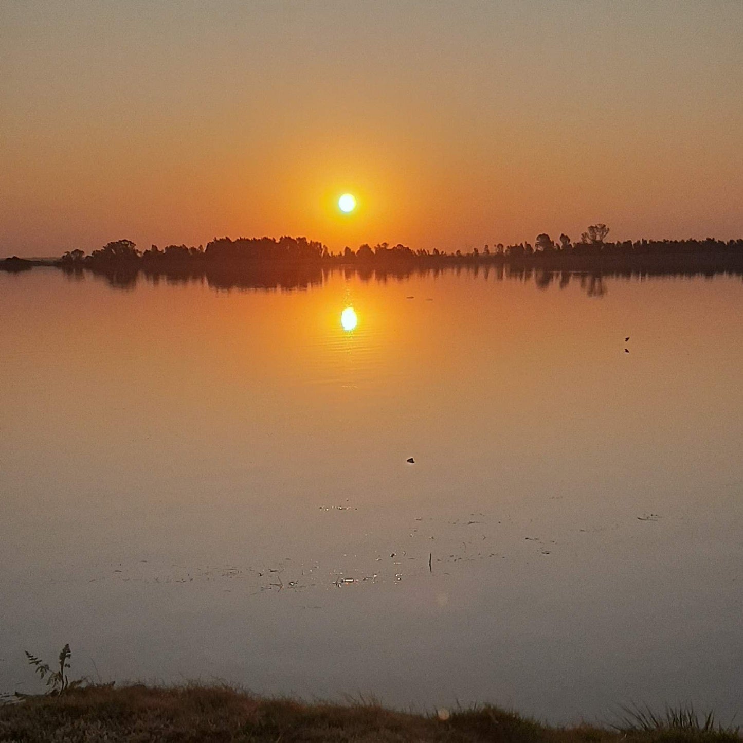  Boskop Dam Nature Reserve