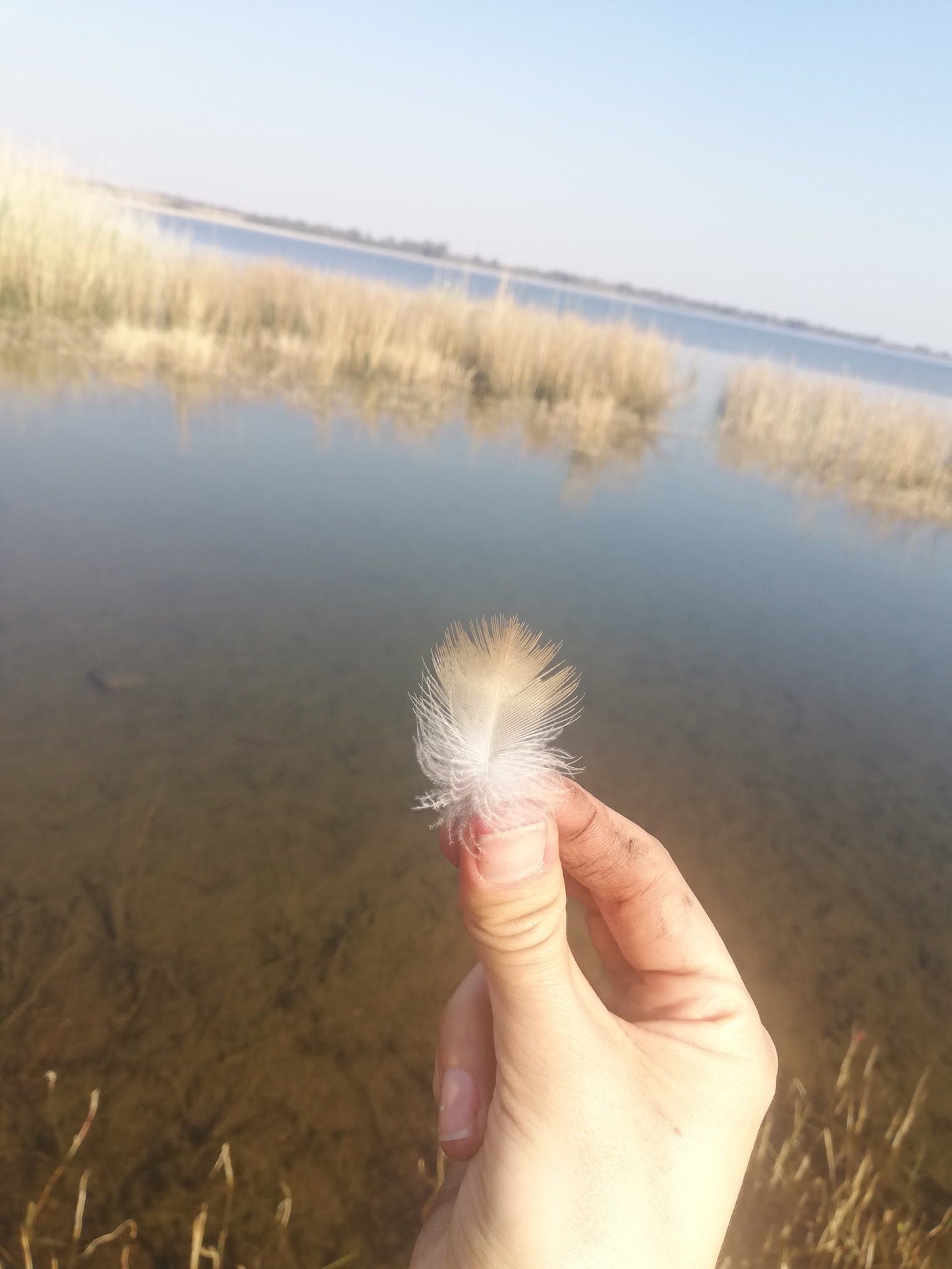  Boskop Dam Nature Reserve