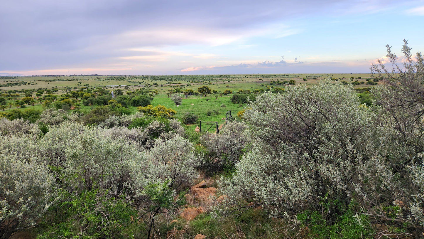  Boskoppie Lion And Tiger Reserve