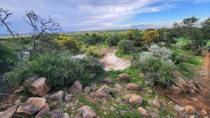  Boskoppie Lion And Tiger Reserve