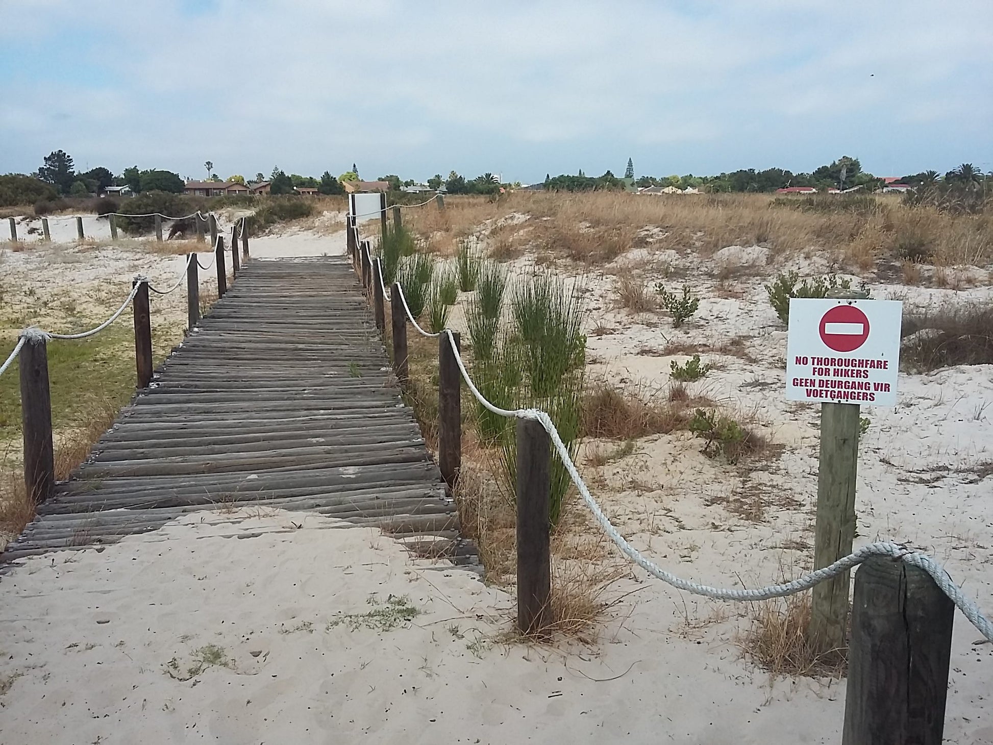  Bothasig Fynbos Nature Reserve