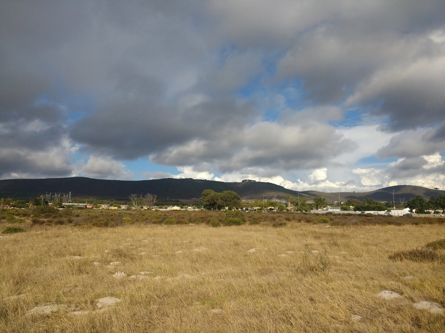  Bothasig Fynbos Nature Reserve