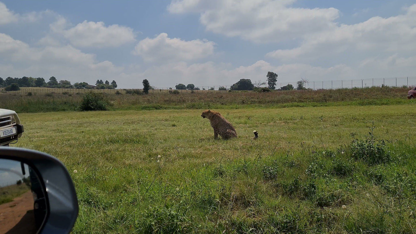  Bothongo Rhino & Lion Nature Reserve
