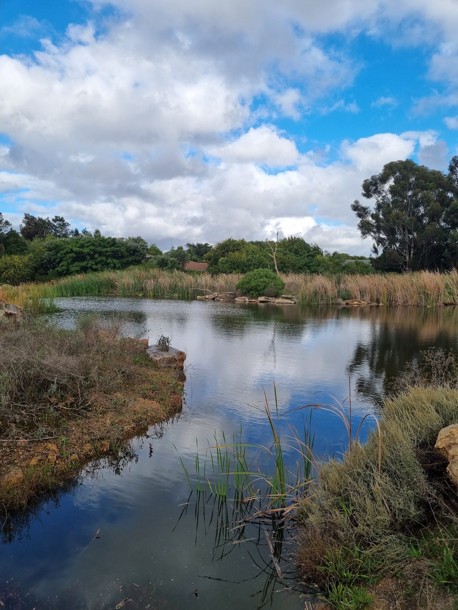  Botterblom Nature Reserve