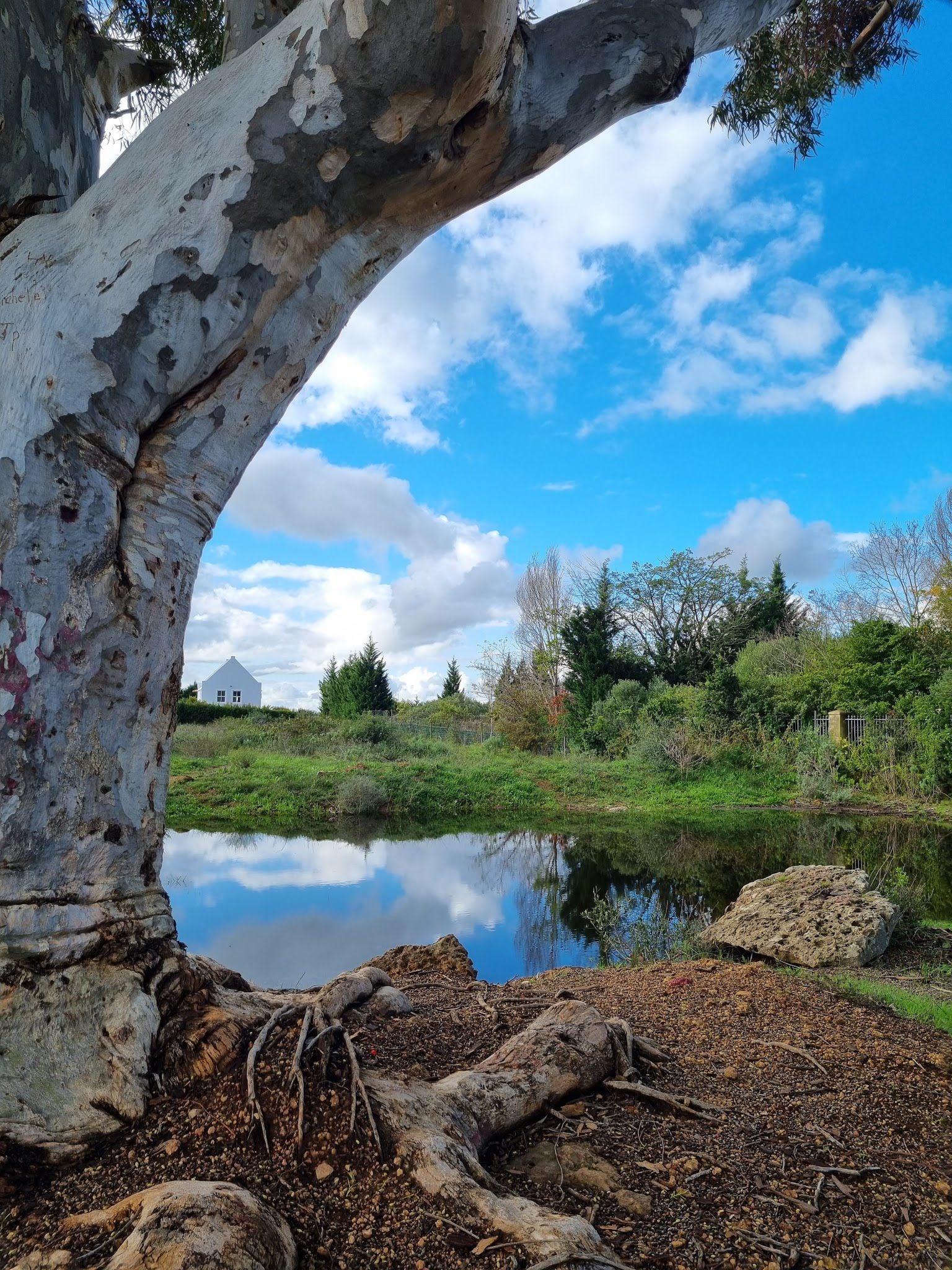  Botterblom Nature Reserve