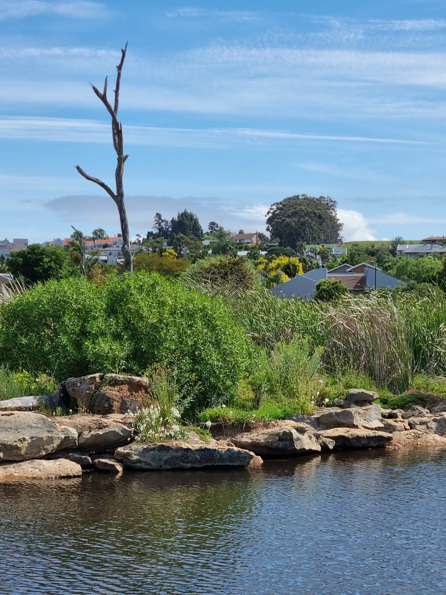  Botterblom Nature Reserve