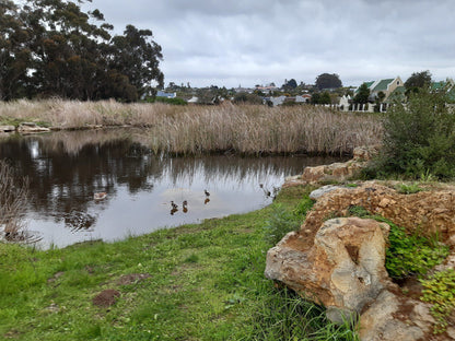  Botterblom Nature Reserve