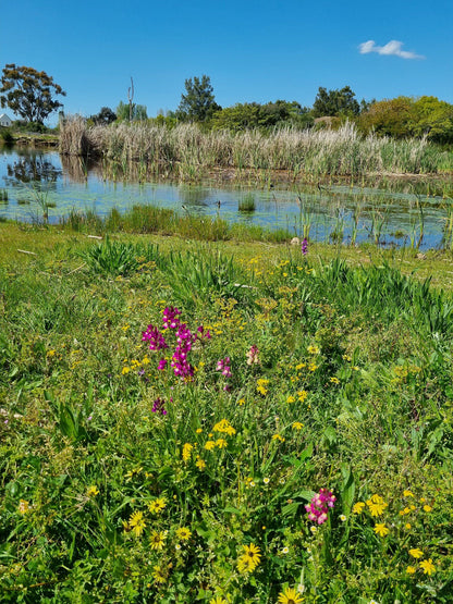  Botterblom Nature Reserve