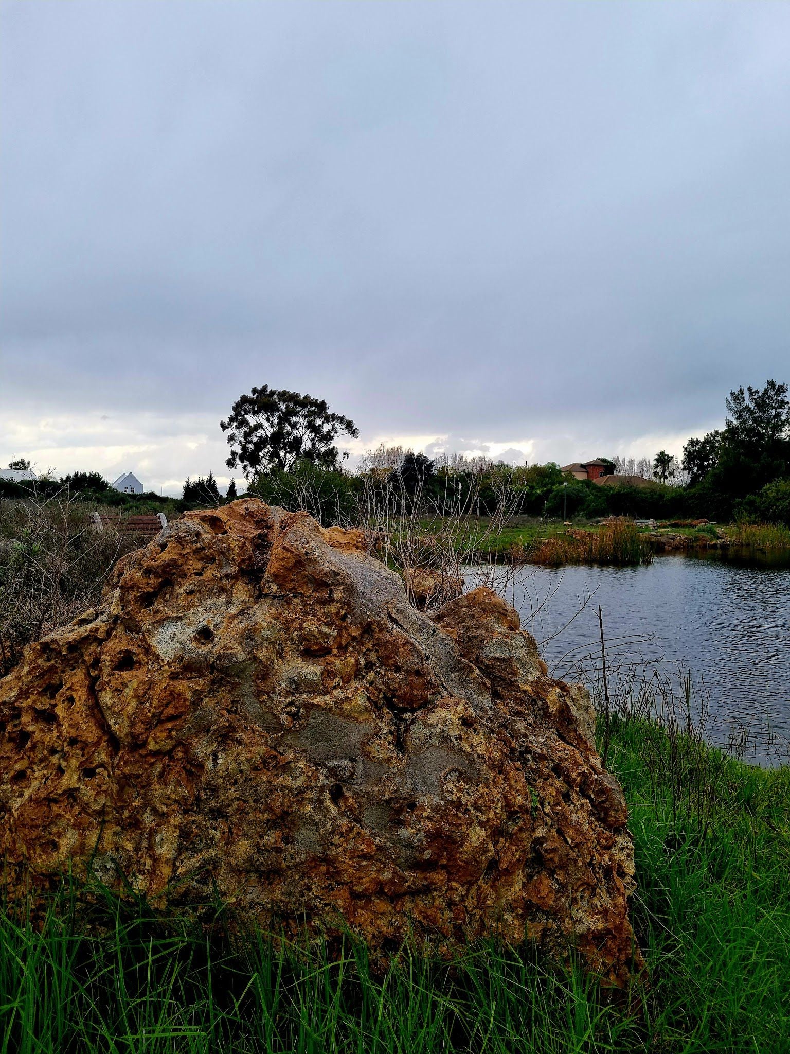  Botterblom Nature Reserve