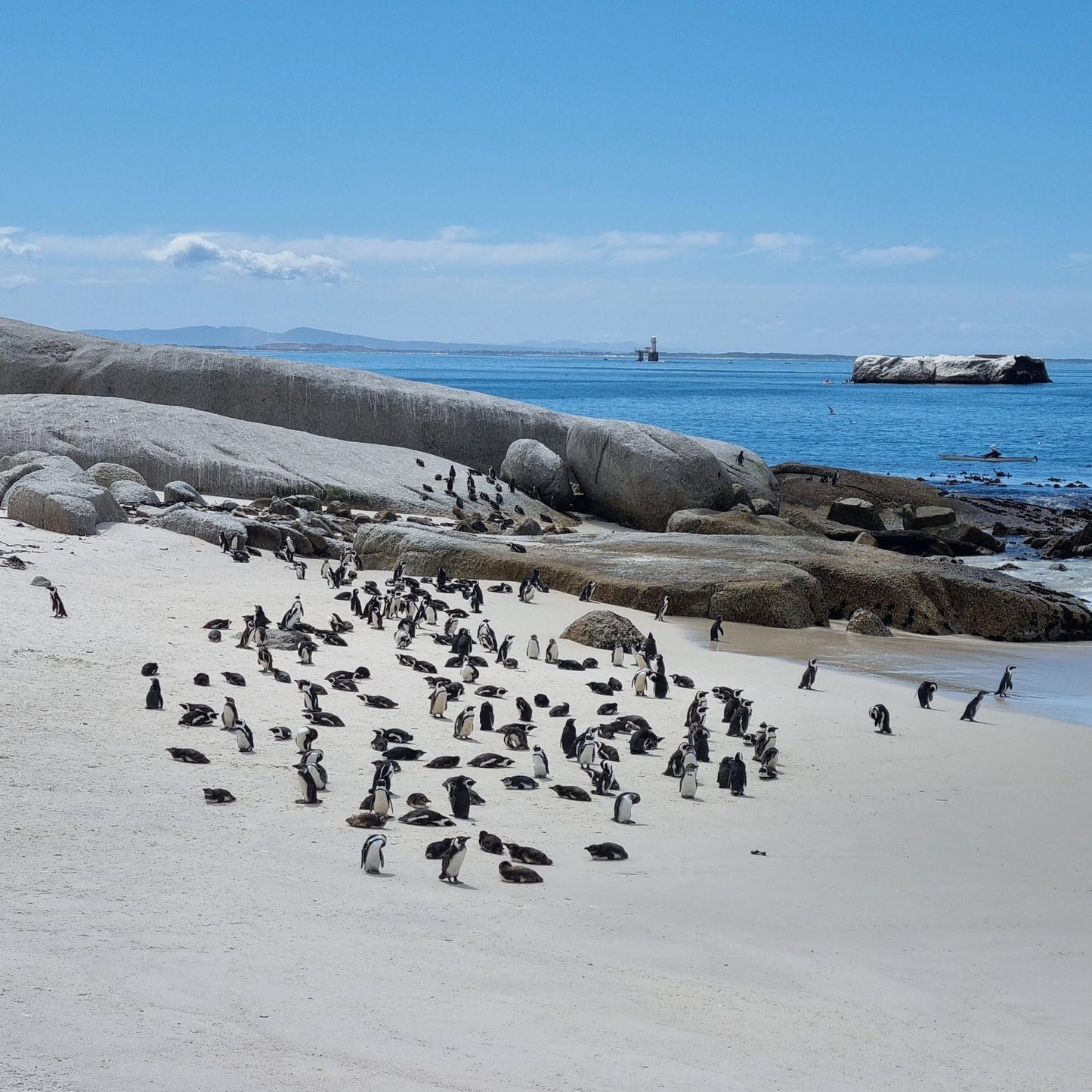  Boulders Beach