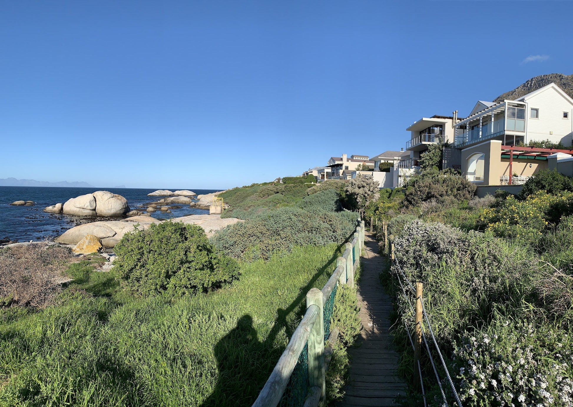  Boulders Beach