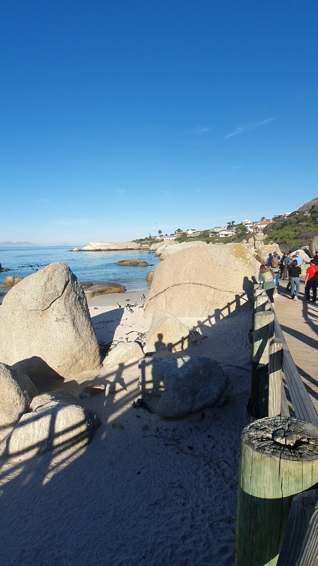  Boulders Beach