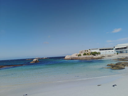  Boulders Beach