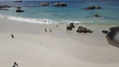  Boulders Beach