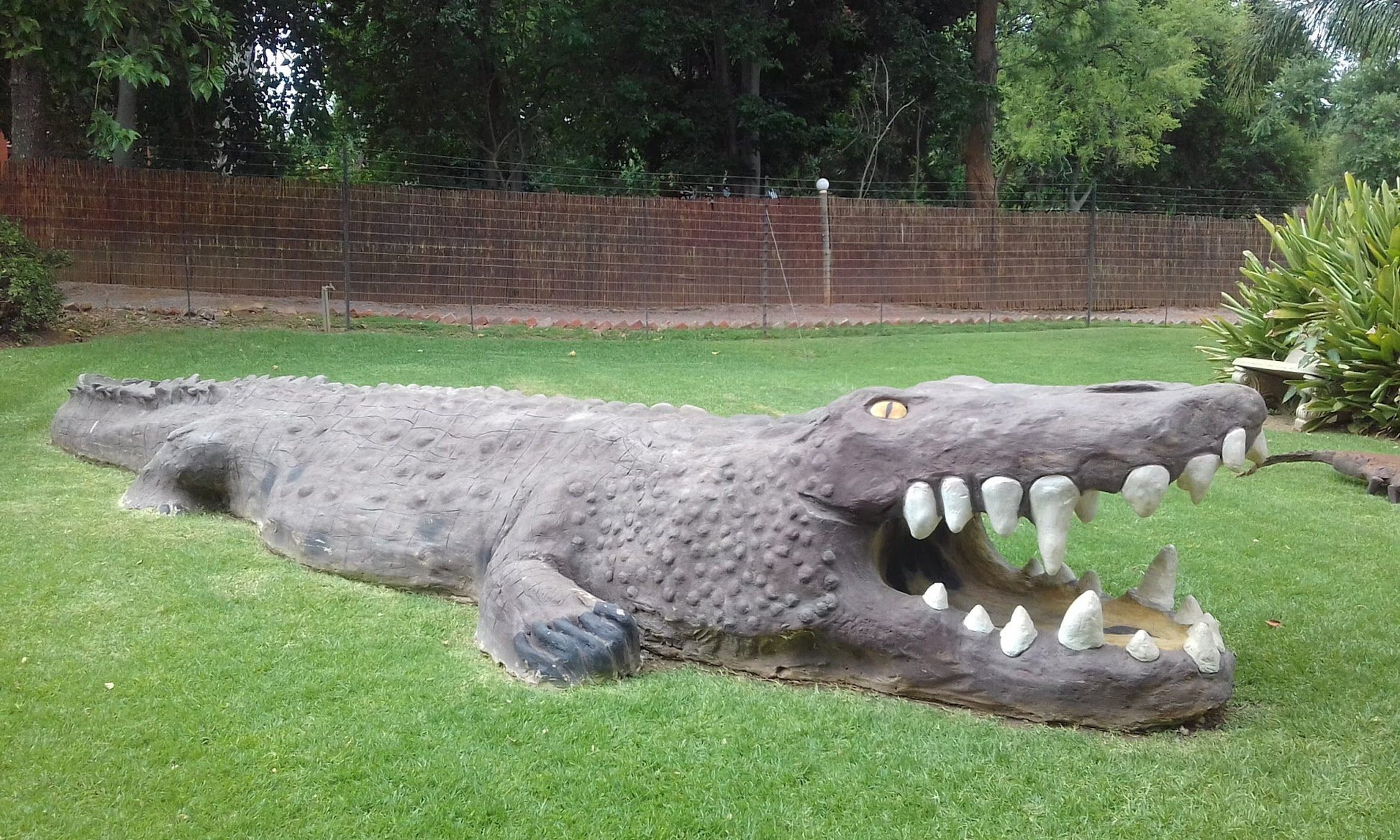  BouncyCroc Crocodile Farm