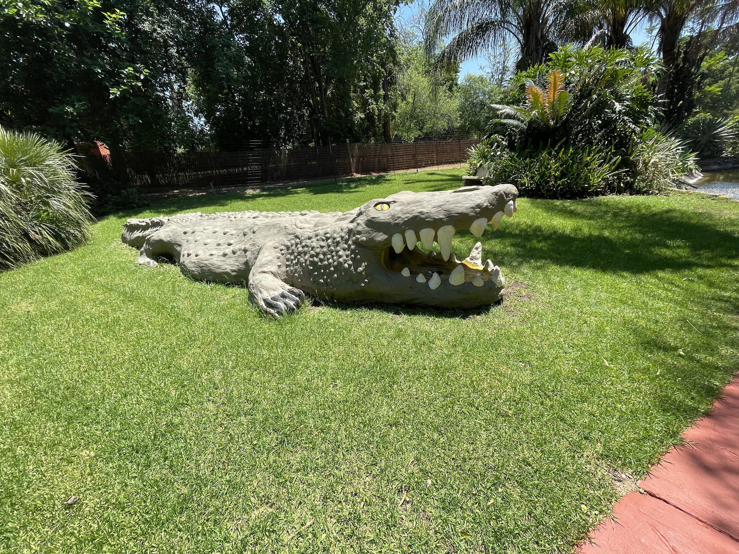  BouncyCroc Crocodile Farm