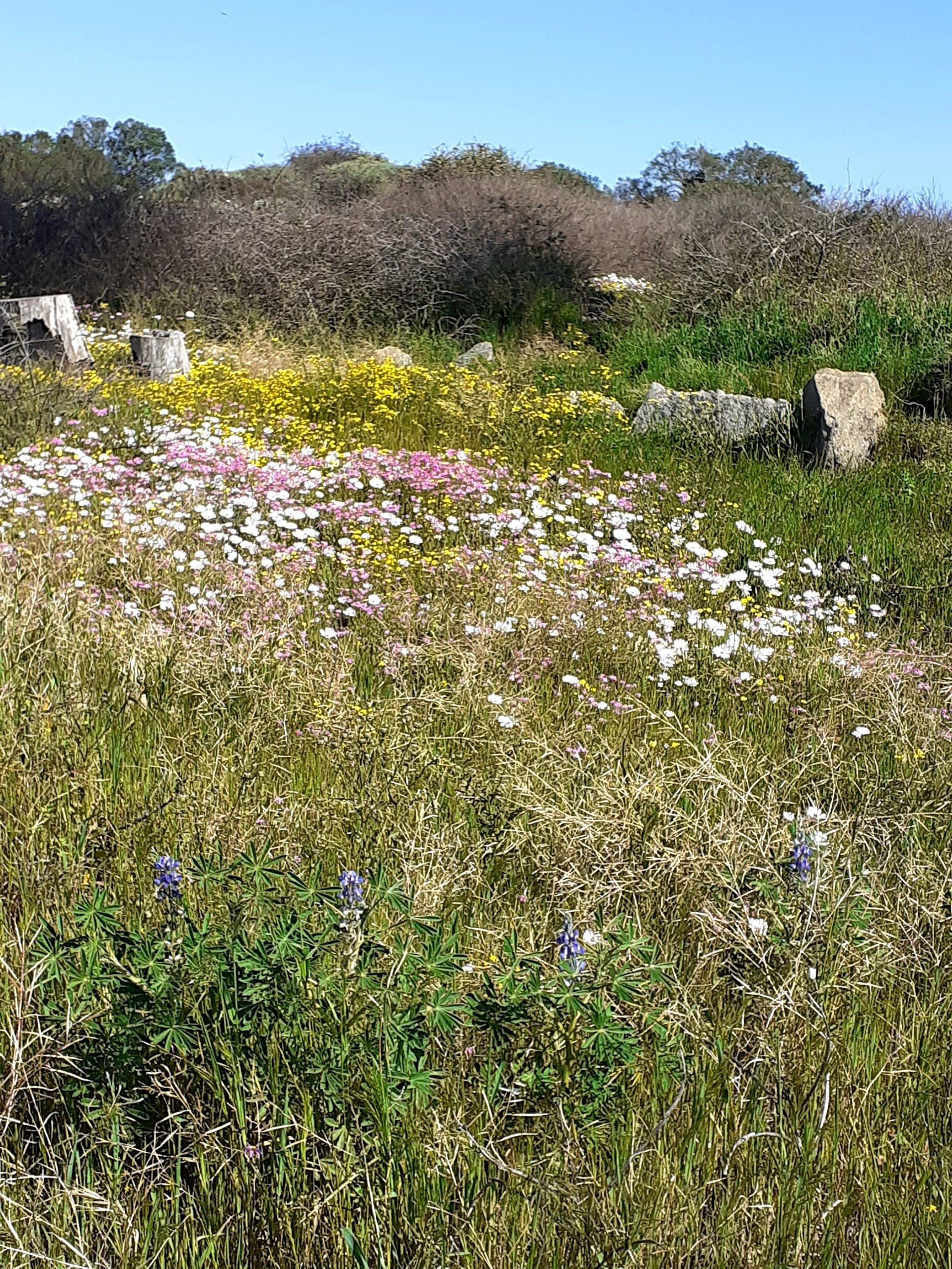  Bracken Nature Reserve