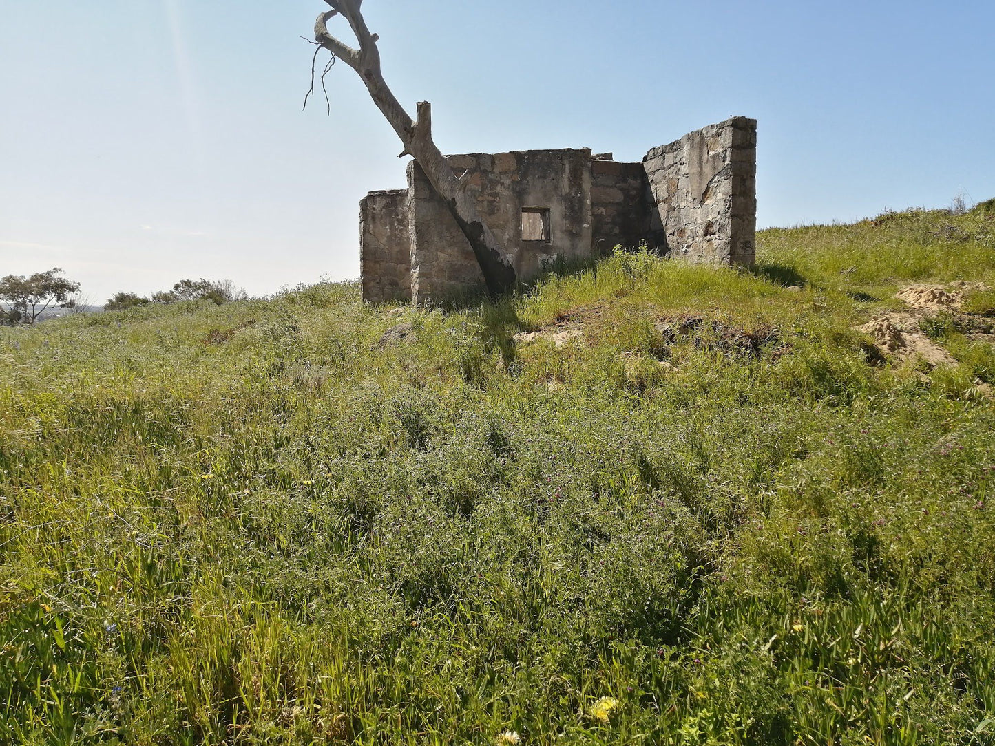  Bracken Nature Reserve