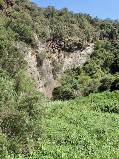  Brownhooded Kingfisher Trail